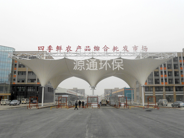 景觀藝術造型膜結構